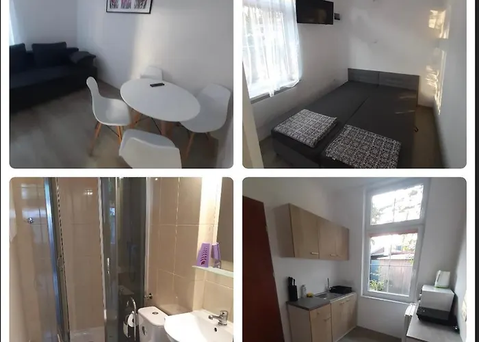 Max 50m From The ダルウォボ